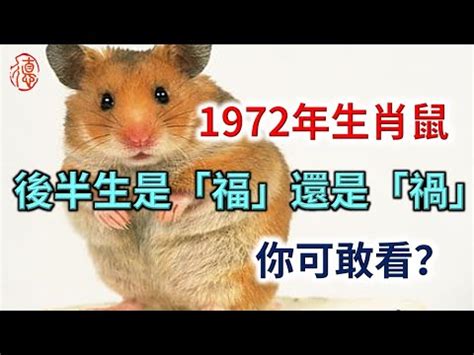 72 年次生肖